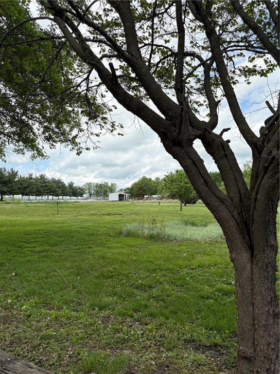 350 NW 71p Rd, Clinton, MO 64735 - view of yard