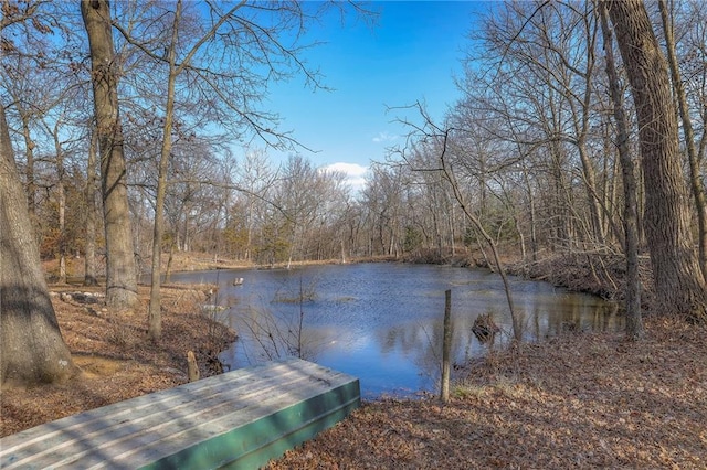 350 NW 71p Rd, Clinton, MO 64735 - dock area featuring a water view and a wooded view