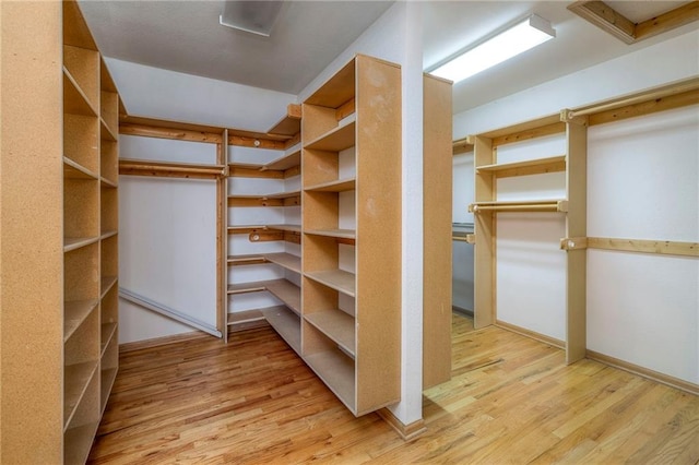 walk in closet with light wood-style floors