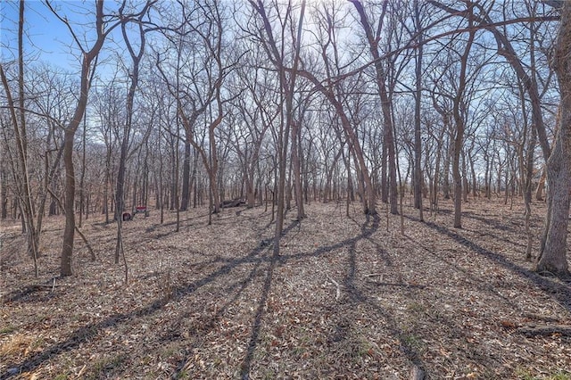 view of local wilderness