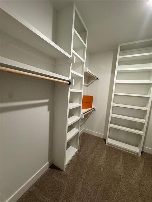 spacious closet featuring dark colored carpet