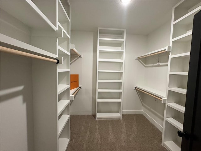 walk in closet with carpet