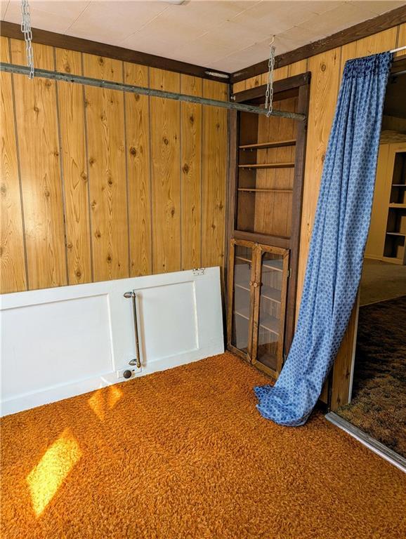 carpeted spare room with wooden walls