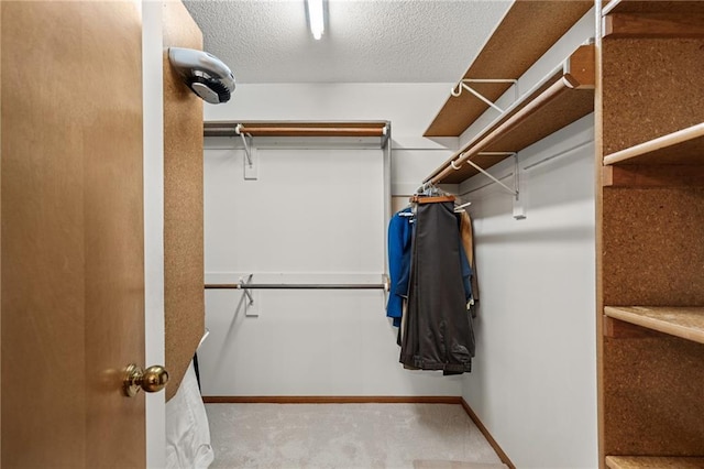 walk in closet with carpet flooring