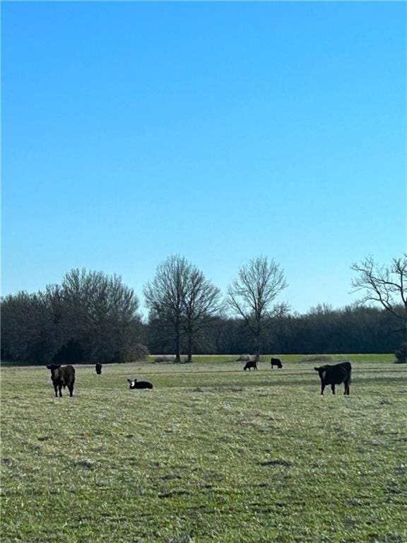 372 230th St, Fort Scott, KS 66741 - photo 20