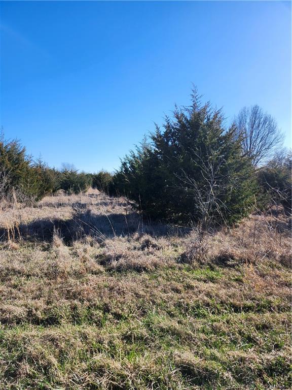 18 Nebraska Dr, Linn Valley, KS 66040 - photo 3