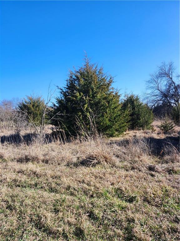 18 Nebraska Dr, Linn Valley, KS 66040 - photo 4
