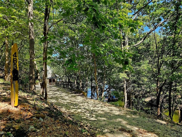 view of yard featuring a wooded view