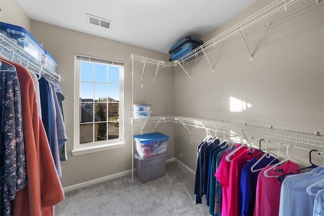 spacious closet with visible vents and carpet floors