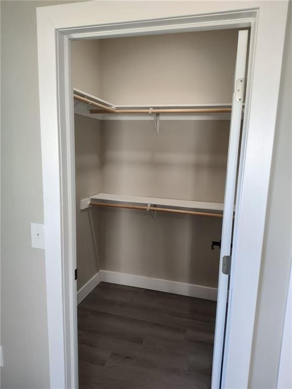 spacious closet with dark wood-style floors