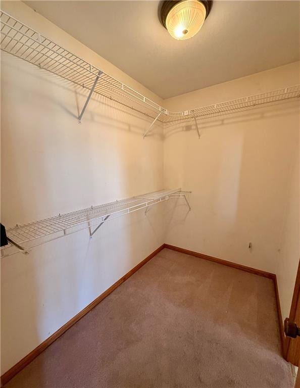 walk in closet featuring light colored carpet