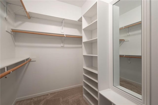 walk in closet with carpet floors