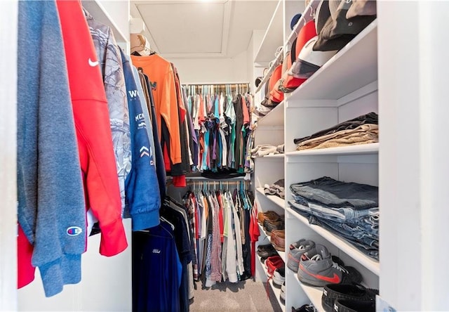 walk in closet with attic access and carpet flooring