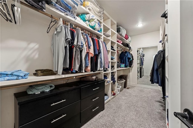 walk in closet with carpet flooring