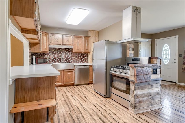 kitchen featuring tasteful backsplash, light wood-type flooring, island exhaust hood, stainless steel appliances, and a sink