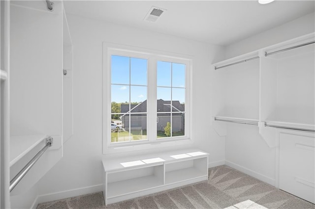 8017 Round Prairie St, Shawnee, KS 66220 - spacious closet featuring carpet
