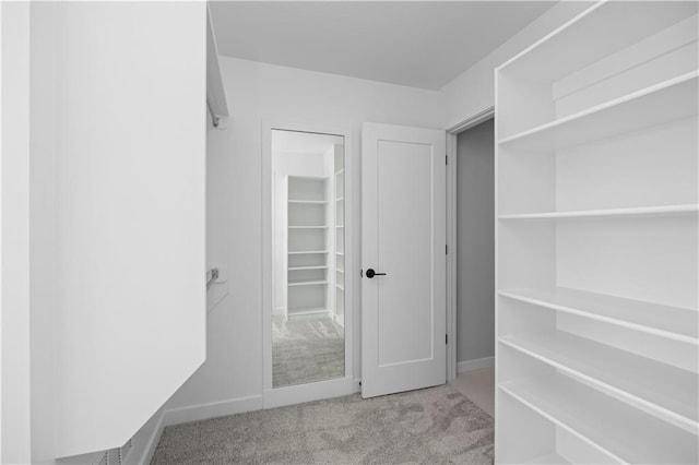 8017 Round Prairie St, Shawnee, KS 66220 - spacious closet featuring carpet