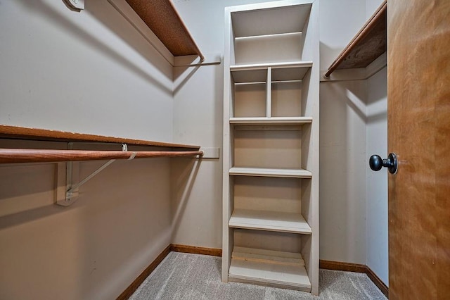 walk in closet featuring carpet