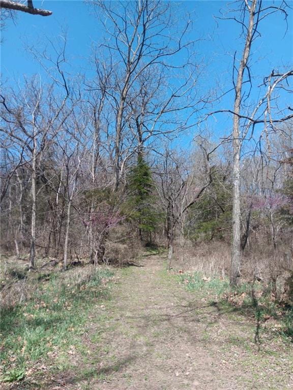 214 E Grand Ave, Lacygne, KS 66040 - view of nature