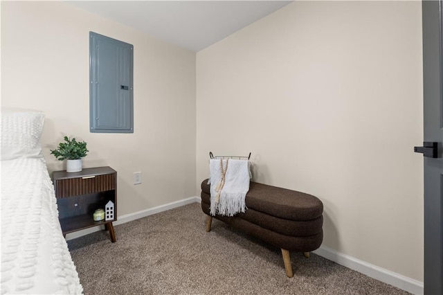 sitting room with electric panel, baseboards, and carpet