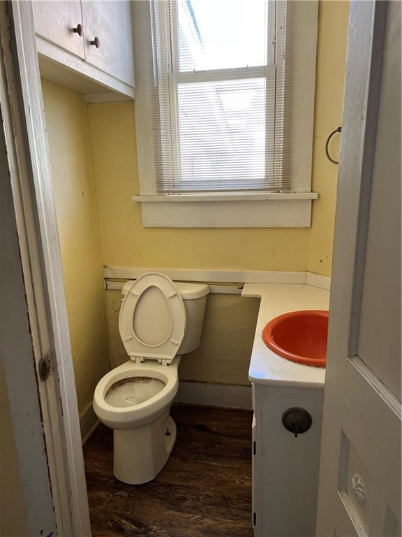 bathroom featuring toilet, vanity, and wood finished floors