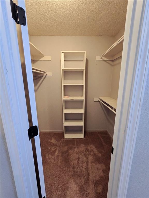 walk in closet with carpet flooring