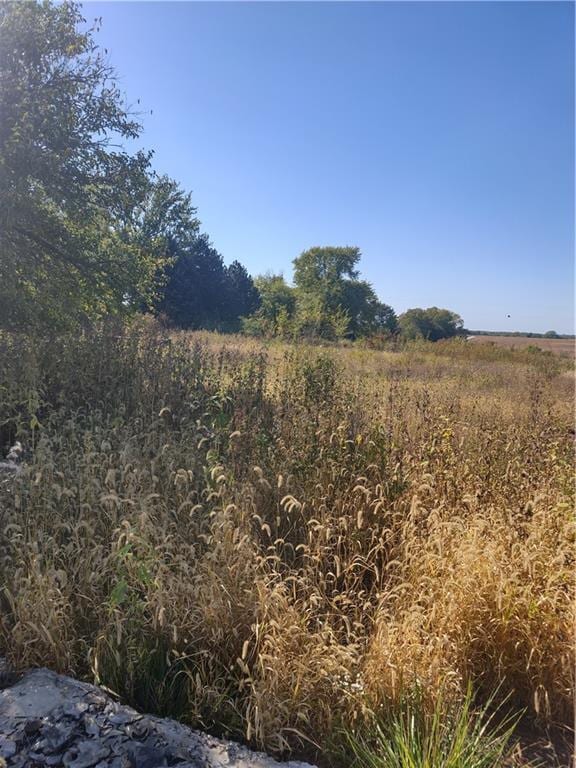 43618 E 224th St, Cowgill MO, 64637 land for sale