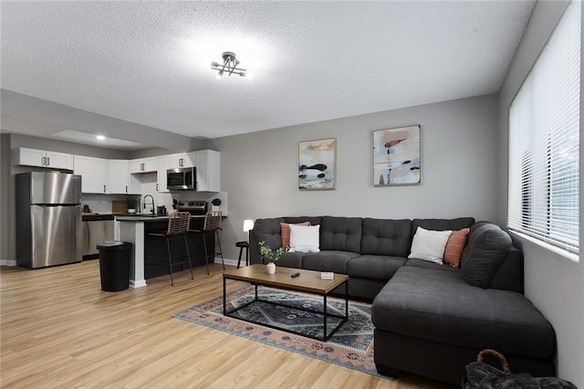 living room featuring baseboards, light wood finished floors, and a textured ceiling