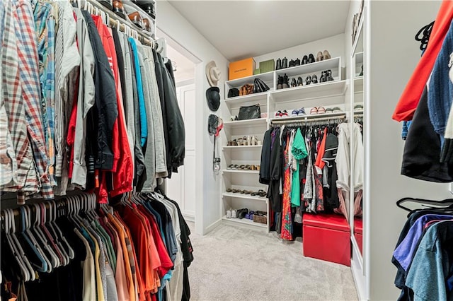 spacious closet with carpet