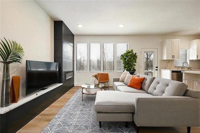 living room featuring light wood finished floors