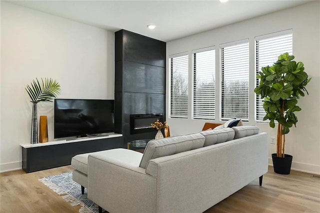 living room featuring baseboards and wood finished floors