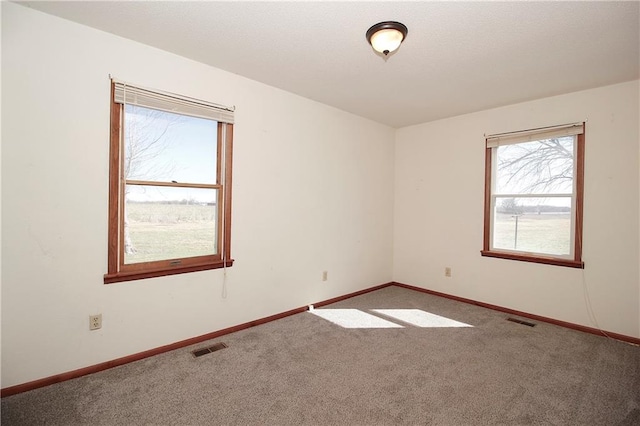 25237 NW Barton Rd, Westphalia, KS 66093 - spare room with visible vents, carpet floors, and a wealth of natural light