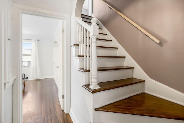 stairway featuring wood finished floors