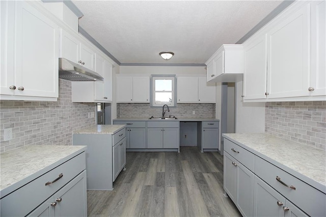 kitchen featuring wood finished floors, a sink, light countertops, under cabinet range hood, and backsplash