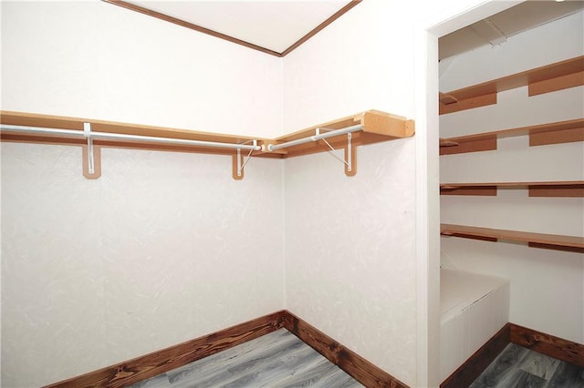 spacious closet featuring dark wood-type flooring