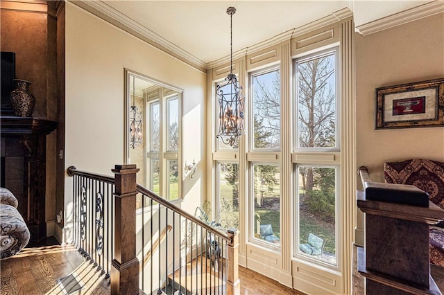 interior space with wood finished floors and crown molding