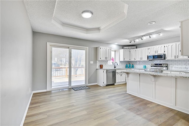 kitchen with decorative backsplash, light wood-style floors, stainless steel appliances, a raised ceiling, and a sink