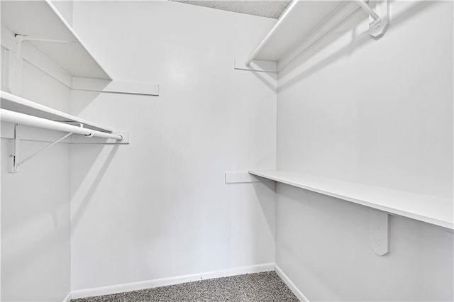 spacious closet featuring carpet floors