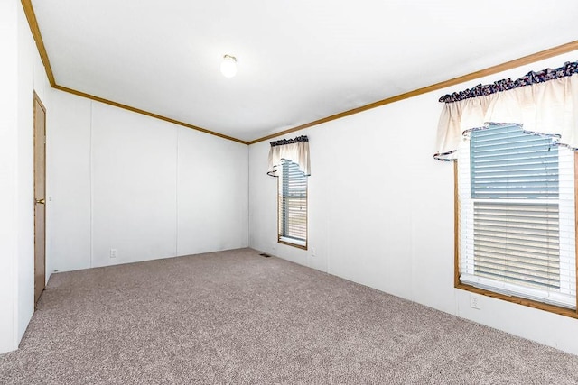 spare room featuring visible vents, carpet floors, and ornamental molding