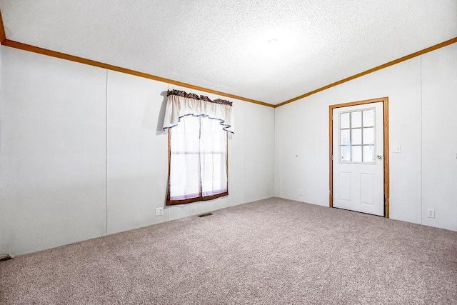 empty room featuring a wealth of natural light, a textured ceiling, and carpet flooring