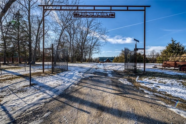 view of street with a gated entry, driveway, and a gate