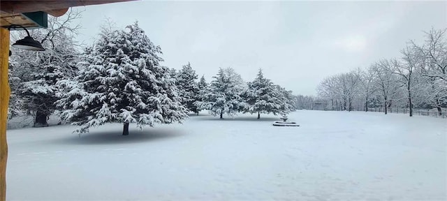 view of yard layered in snow