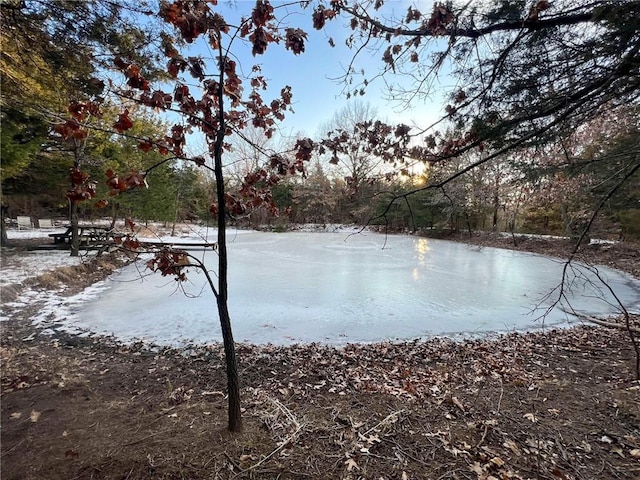 view of water feature