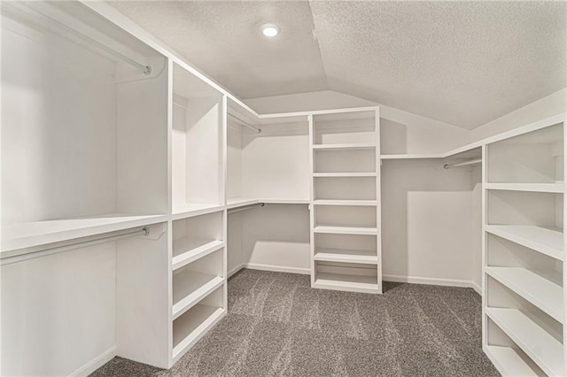 walk in closet with vaulted ceiling and carpet flooring