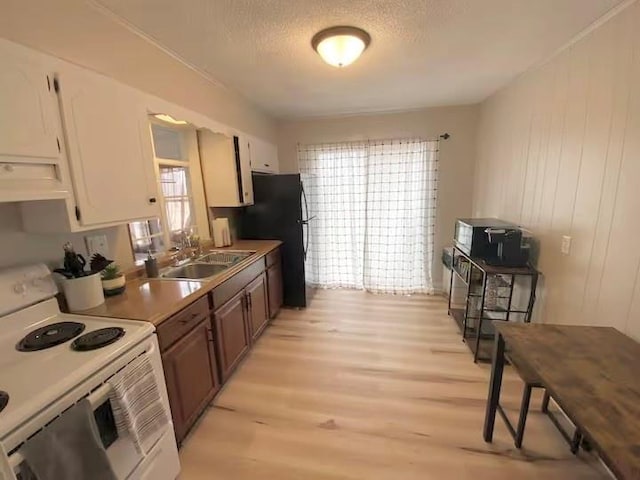 kitchen with light wood-style flooring, freestanding refrigerator, a sink, extractor fan, and electric stove