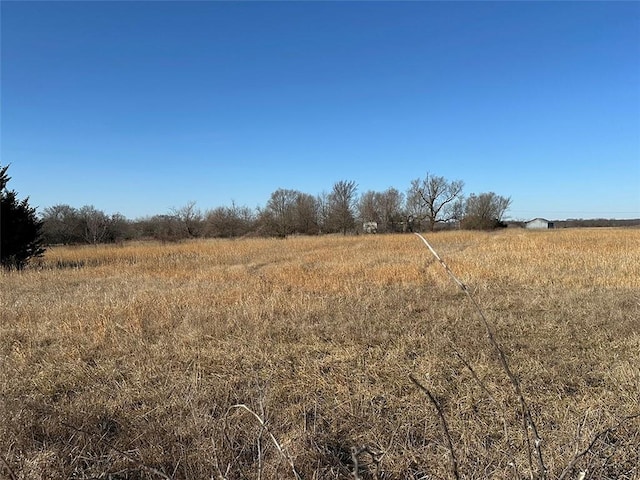 view of local wilderness with a rural view