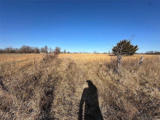 view of local wilderness featuring a rural view