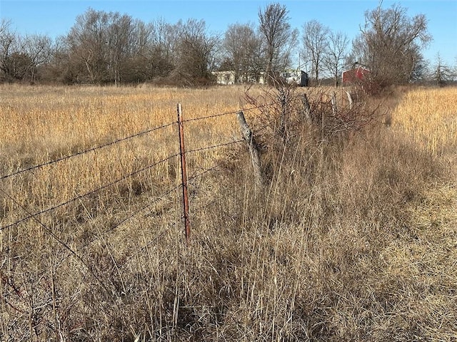 view of yard with a rural view