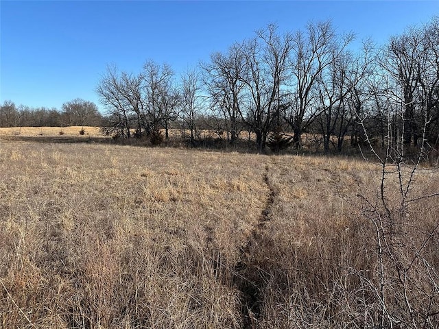 view of nature featuring a rural view