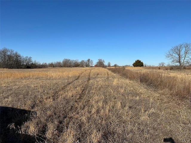 view of local wilderness with a rural view